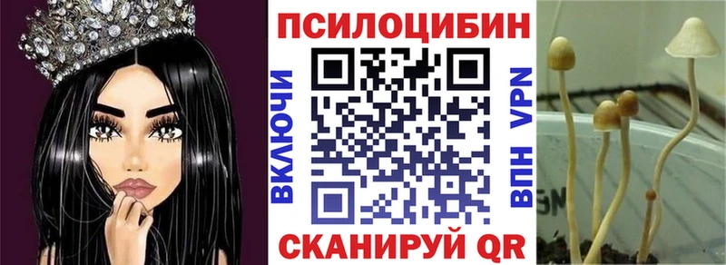 Галлюциногенные грибы Magic Shrooms  Суровикино 